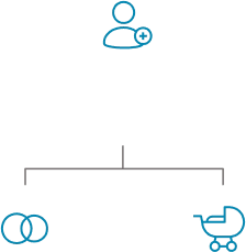 schema